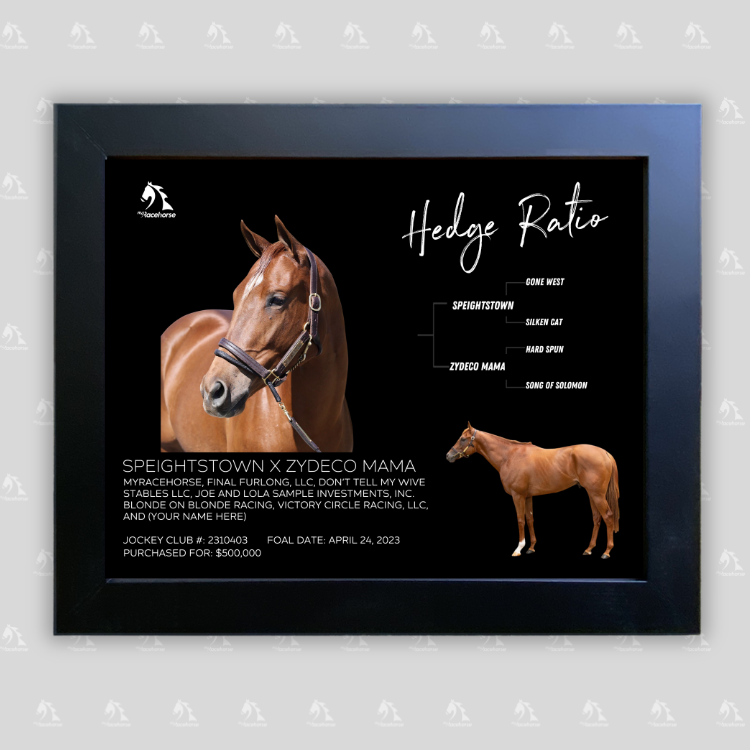 Hedge Ratio Owner Photo