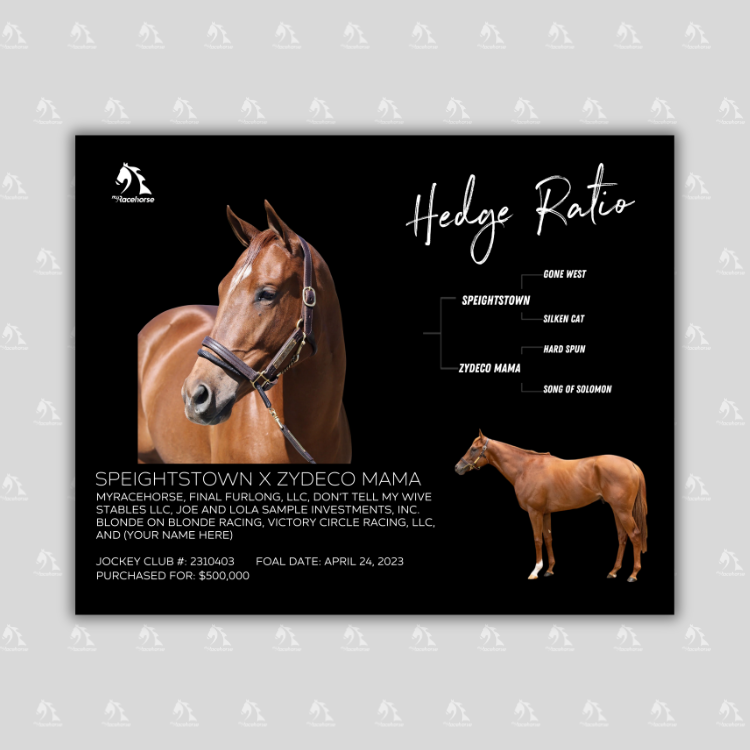 Hedge Ratio Owner Photo