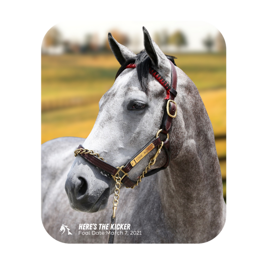 Here's The Kicker Mouse Pad