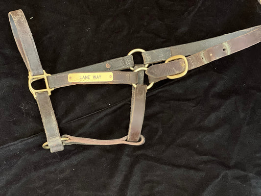 Lane Way Halter