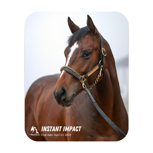 Instant Impact Mouse Pad