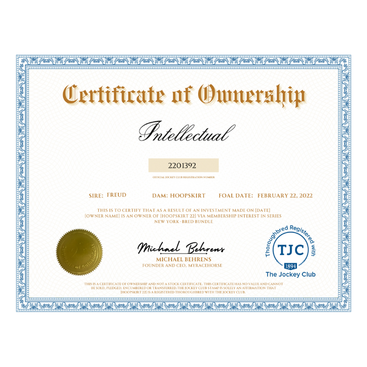 Intellectual Certificate of Ownership