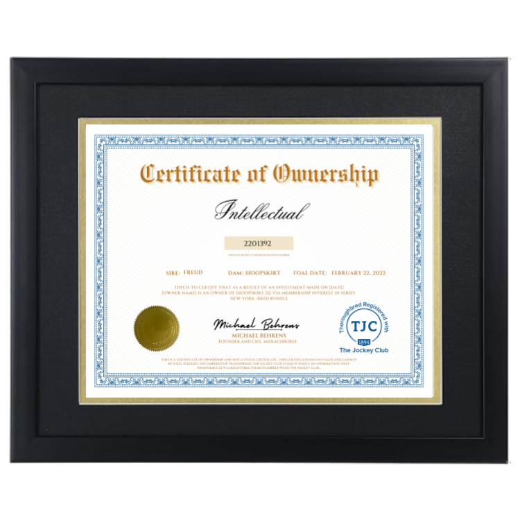 Intellectual Certificate of Ownership