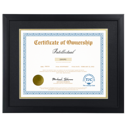 Intellectual Certificate of Ownership