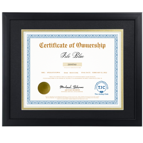 Isle Blue Certificate of Ownership