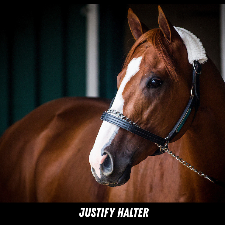Justify Halter – MyRacehorse Shop