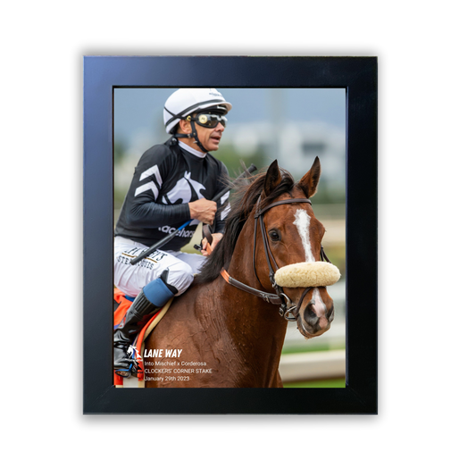 Lane Way Clocker's Corner Stakes Portrait Photo