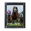 Load image into Gallery viewer, Lane Way Clocker's Corner Stakes Head on Photo

