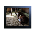 Load image into Gallery viewer, Prince of Monaco X Lazara 26' Candid Photo
