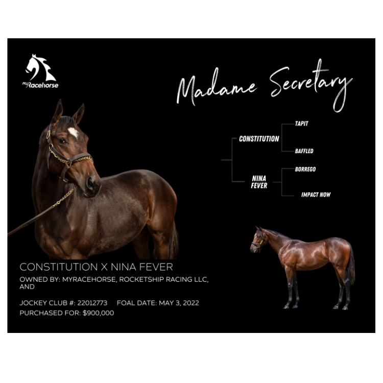 Madame Secretary Owner Photo