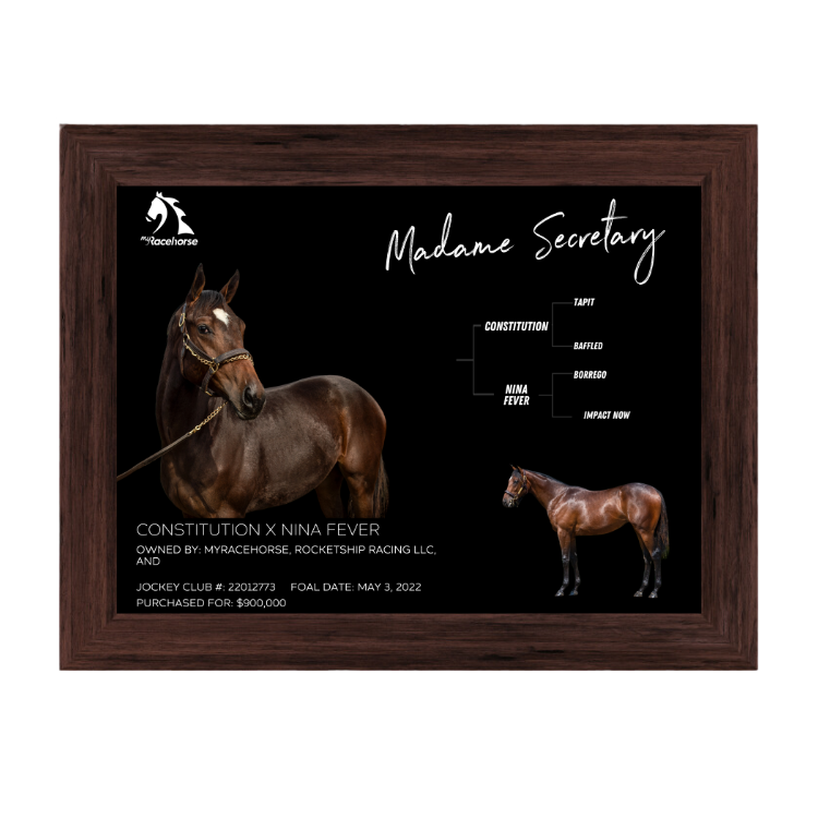 Madame Secretary Owner Photo