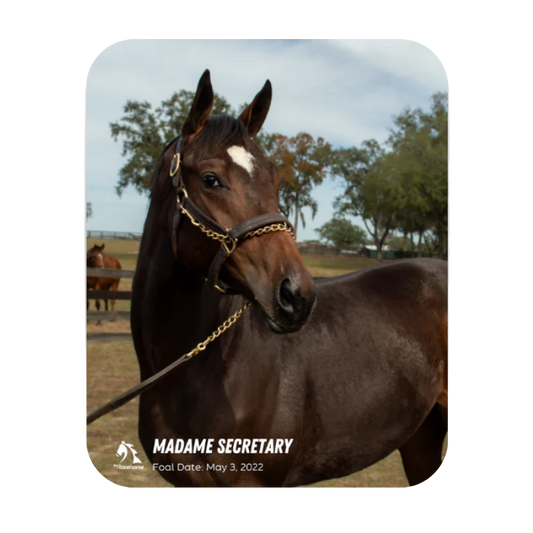 Madame Secretary Mouse Pad