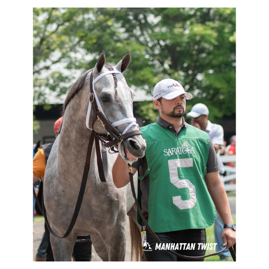 Manhattan Twist Paddock Shot Saratoga