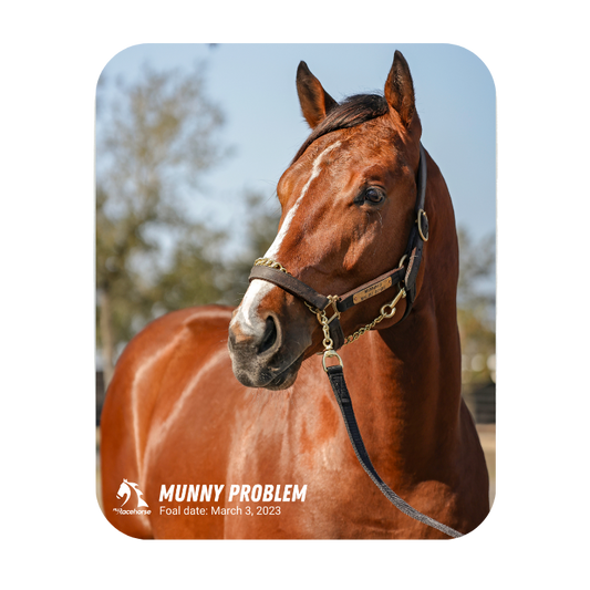 Munny Problem Mouse Pad