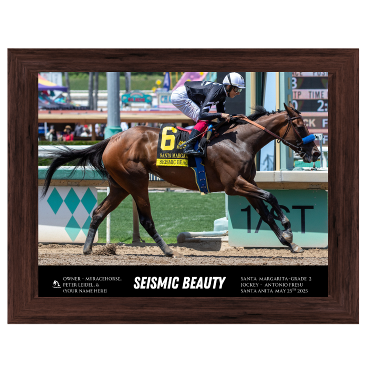 Seismic Beauty Custom Win Photo #3 - Santa Margarita-G2