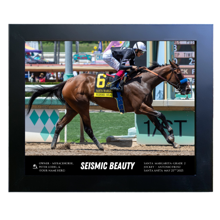 Seismic Beauty Custom Win Photo #3 - Santa Margarita-G2