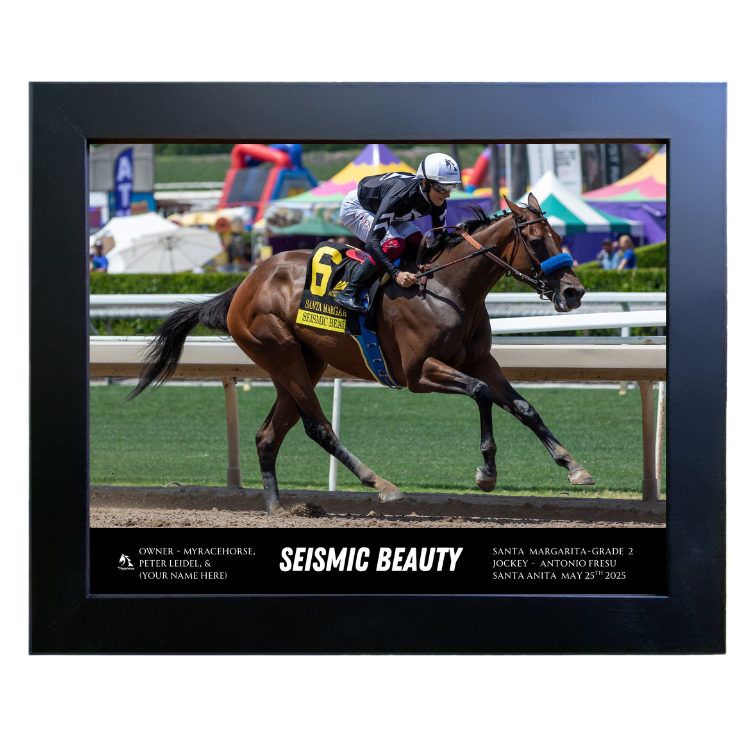 Seismic Beauty Custom Win Photo #2 - Santa Margarita-G2