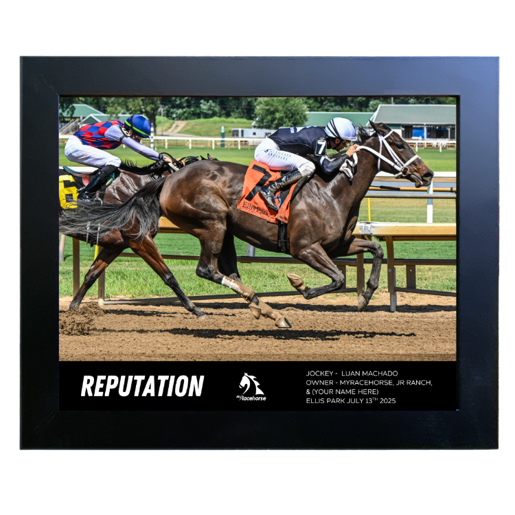 Reputation Custom Win Photo - Action #2