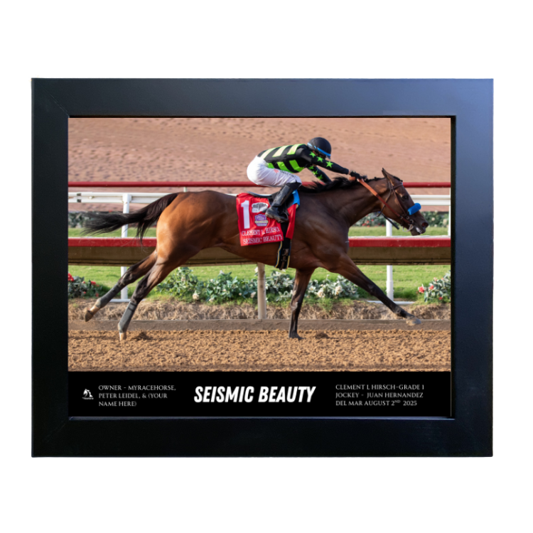 Seismic Beauty Custom Win Photo #2 - Clement L. Hirsch -G1