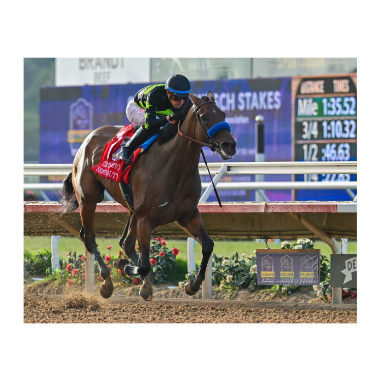 Seismic Beauty Win Photo #1 - Clement L. Hirsch -G1