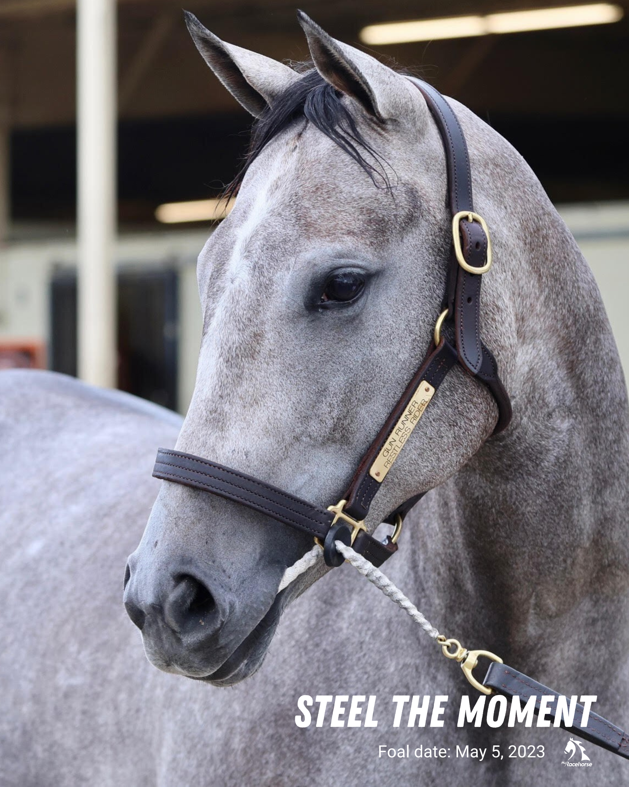 Steel the Moment Portrait Photo