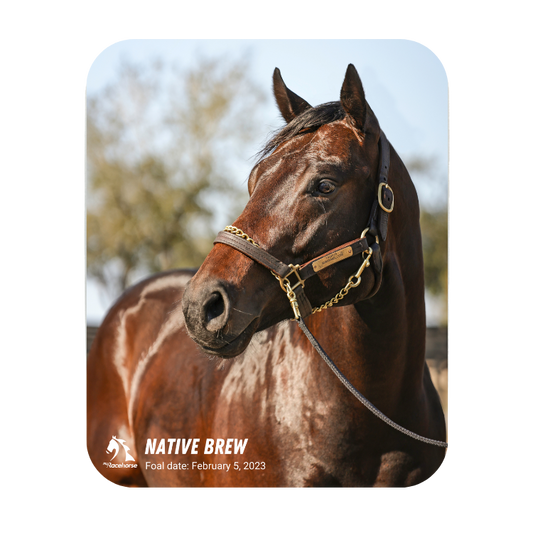 Native Brew Mouse Pad