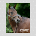 Load image into Gallery viewer, Nevermore Portrait Photo
