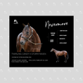 Load image into Gallery viewer, Nevermore Owner Photo
