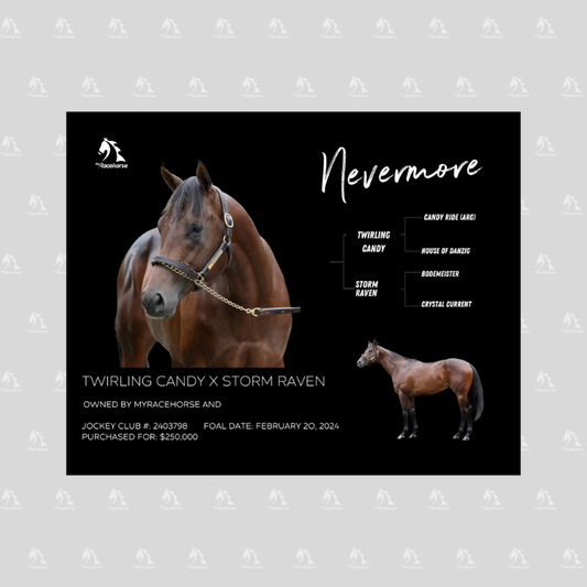 Nevermore Owner Photo