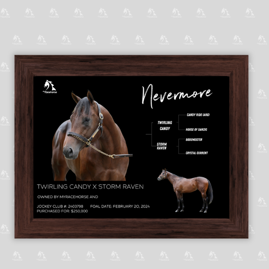 Nevermore Owner Photo