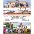 Load image into Gallery viewer, Customizable Seize the Grey Winner's Circle Photo - Official Owner
