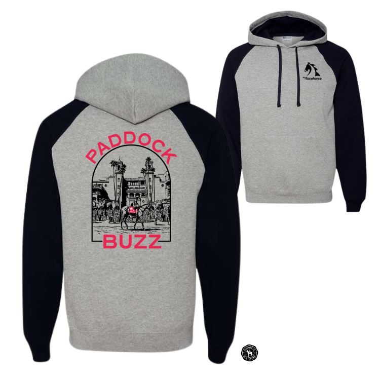 Paddock Buzz Men's Raglan Hooded Sweatshirt