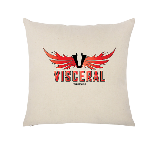 Visceral Throw Pillow Case