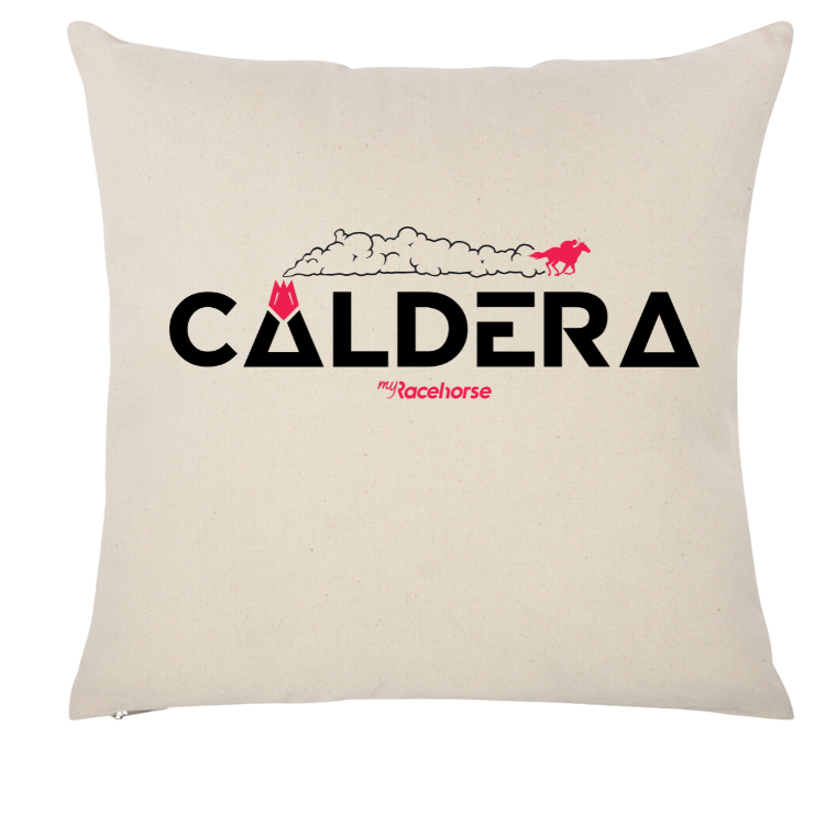 Caldera Throw Pillow Case