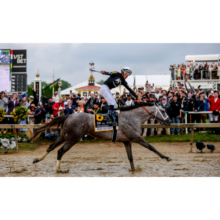 An 8"x10" Photo Winner of the Preakness of Seize the Grey