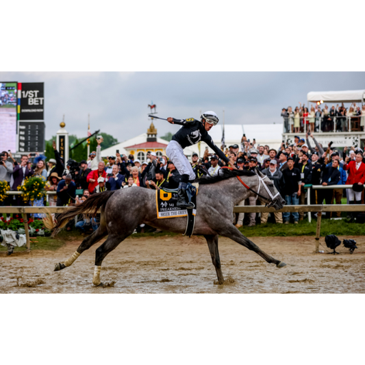 An 8"x10" Photo Winner of the Preakness of Seize the Grey