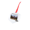 Load image into Gallery viewer, Seize the Grey Official Preakness Hexagonal Glass Ornament
