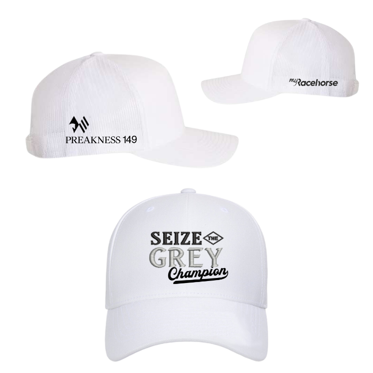 Seize the Grey Official Preakness Velocity Performance Hat