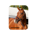 Load image into Gallery viewer, A Day to Remember Rectangular Magnet

