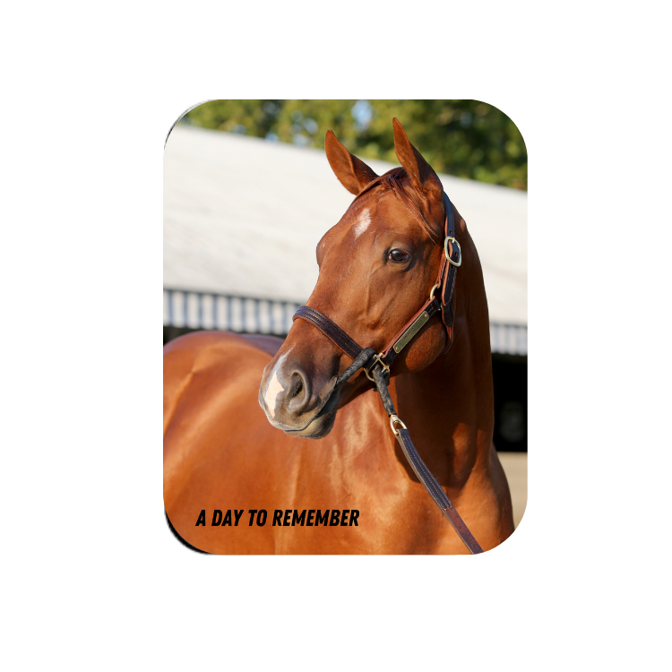 A Day to Remember Rectangular Magnet