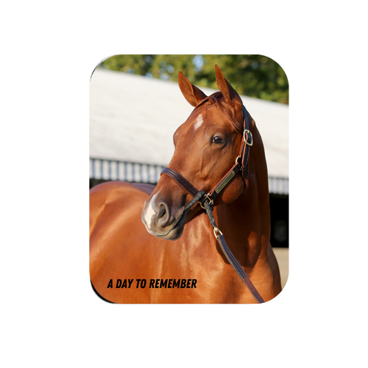 A Day to Remember Rectangular Magnet