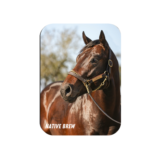 Native Brew Rectangular Magnet