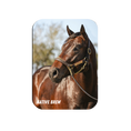 Load image into Gallery viewer, Native Brew Rectangular Magnet
