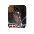 Load image into Gallery viewer, Reputation Rectangular Magnet
