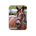 Load image into Gallery viewer, Shezawildone Rectangular Magnet
