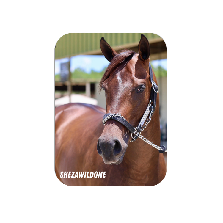 Shezawildone Rectangular Magnet