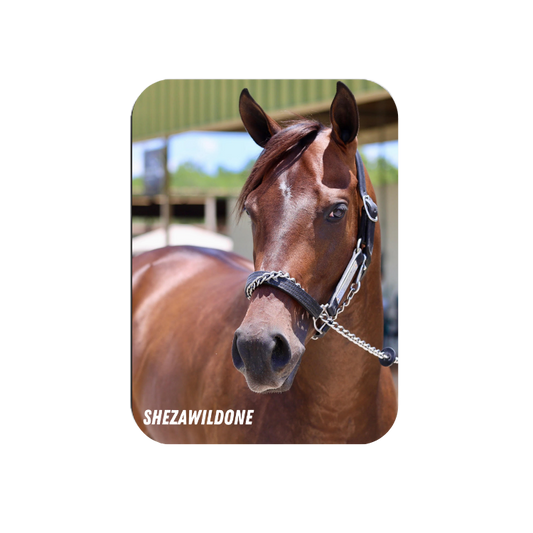 Shezawildone Rectangular Magnet