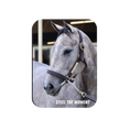 Load image into Gallery viewer, Steel the Moment Rectangular Magnet
