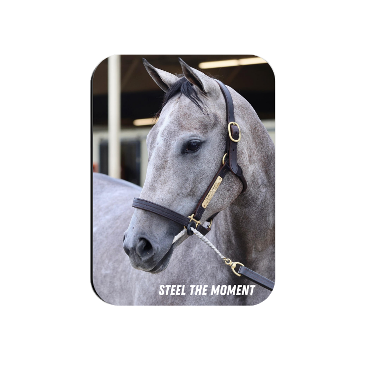 Steel the Moment Rectangular Magnet