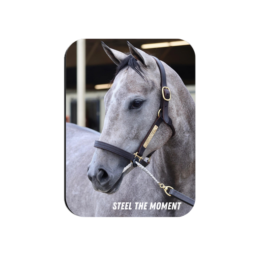 Steel the Moment Rectangular Magnet